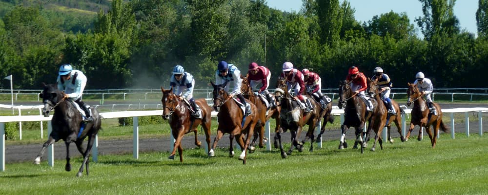 Hesteveddeløp odds på nett